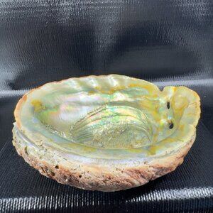 Natural Red Abalone Shell Large Dish Bowl Container Trinket Holder Iridescent